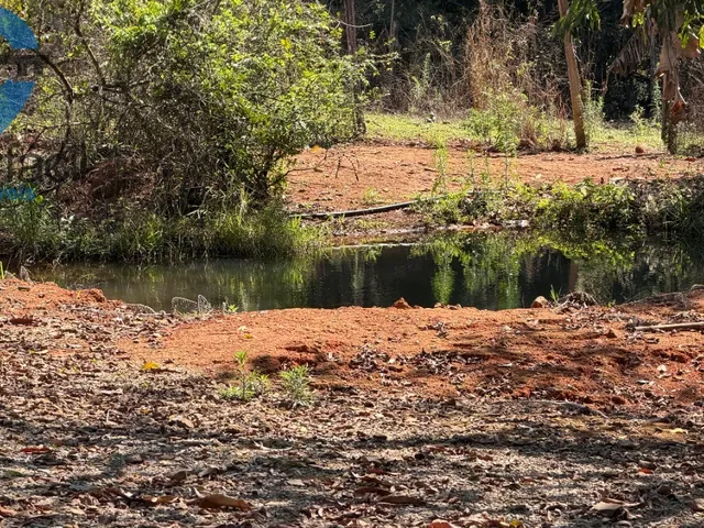 Imagem 2: FAZENDA QUILONBO SILVANIA