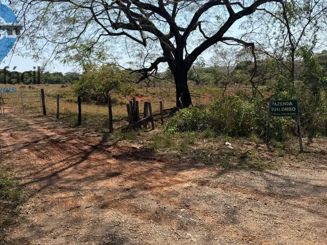 Imagem 5: FAZENDA QUILONBO SILVANIA