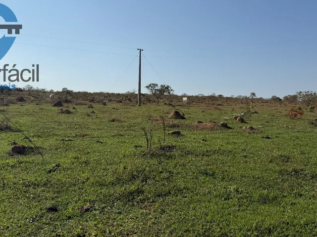 Imagem 13: FAZENDA QUILONBO SILVANIA