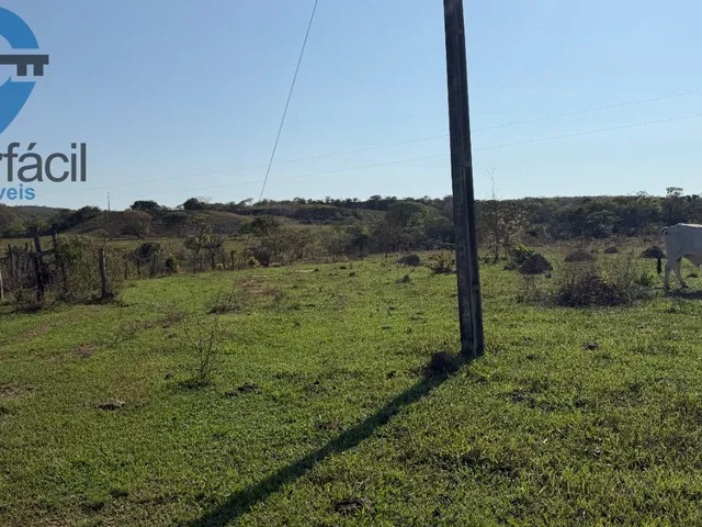 Imagem 8: FAZENDA QUILONBO SILVANIA