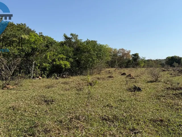 Imagem 14: FAZENDA QUILONBO SILVANIA