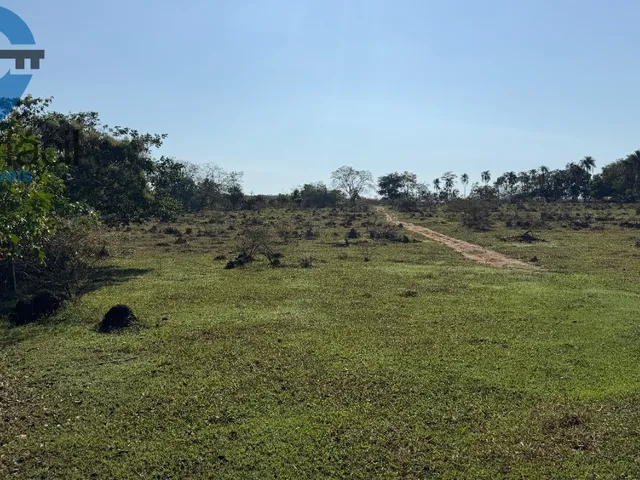 Imagem 6: FAZENDA QUILONBO SILVANIA