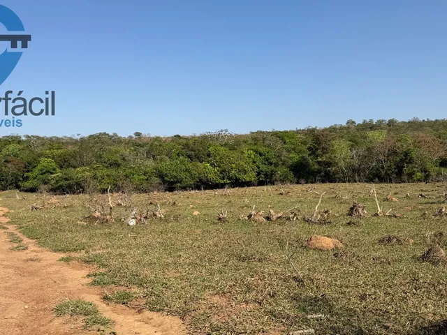 Imagem 7: FAZENDA QUILONBO SILVANIA
