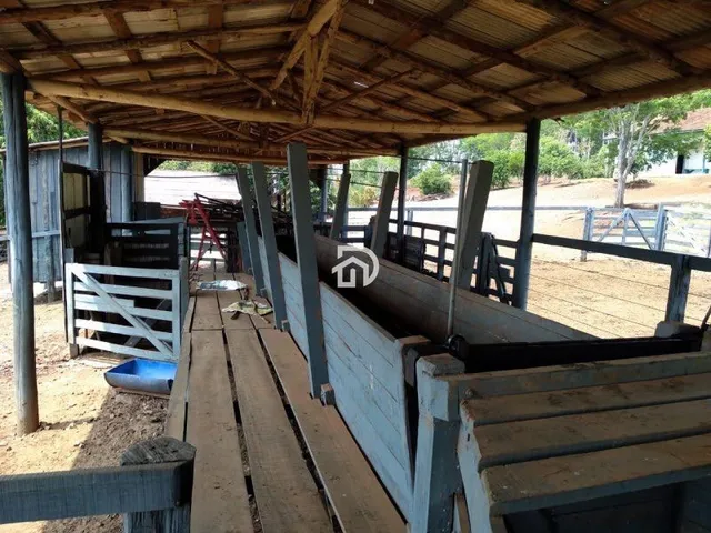 Imagem: Fazenda a Venda em Diamante do Oeste