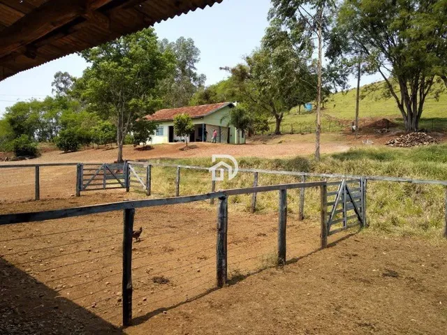 Imagem 5: Fazenda a Venda em Diamante do Oeste