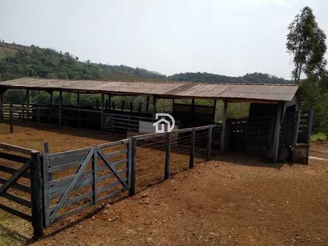 Imagem 9: Fazenda a Venda em Diamante do Oeste