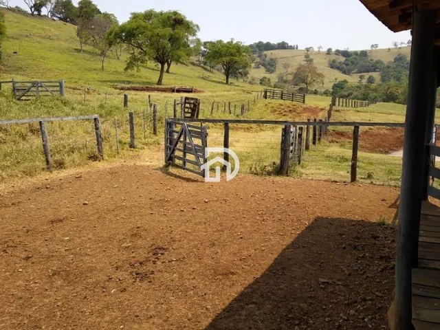 Imagem 15: Fazenda a Venda em Diamante do Oeste