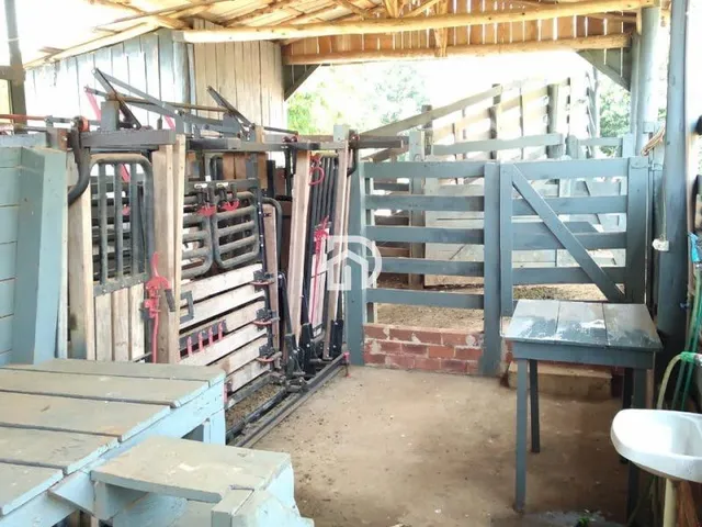 Imagem 6: Fazenda a Venda em Diamante do Oeste