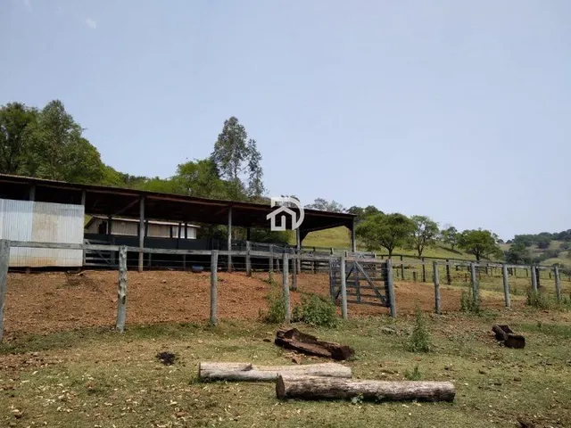 Imagem 16: Fazenda a Venda em Diamante do Oeste