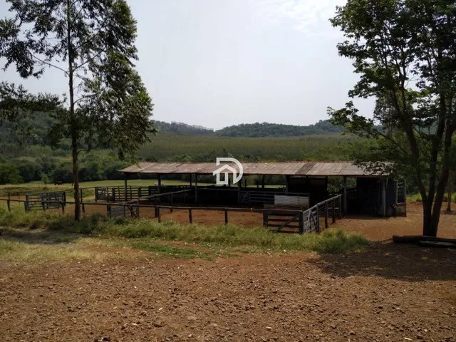 Imagem 14: Fazenda a Venda em Diamante do Oeste