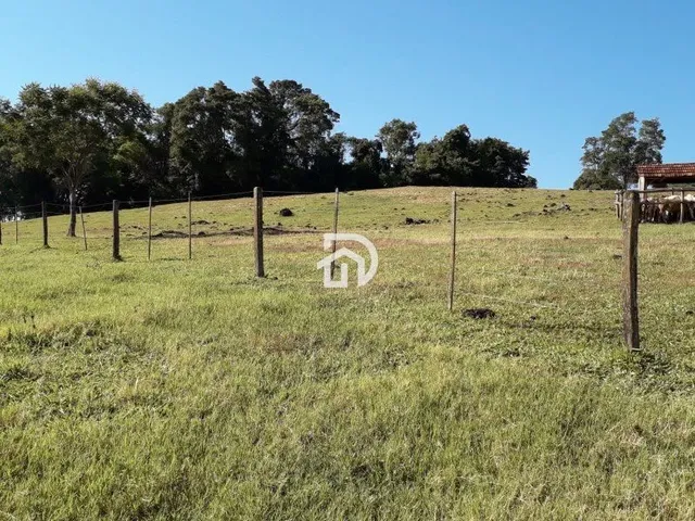 Imagem 11: Fazenda a Venda em Diamante do Oeste