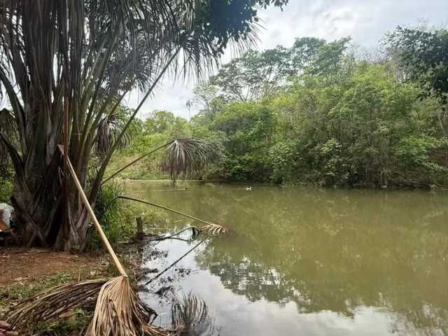 Imagem: Chácara para alugar na área rural de Senador