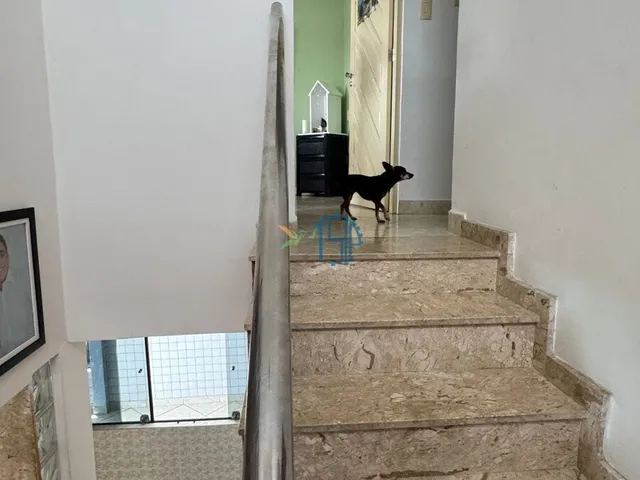Imagem 11: Casa no Castelo Branco / Casa 4 quartos / Casa com 2 suites / Casa com Piscina