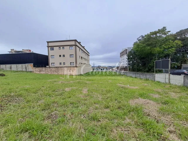 Imagem 8: Terreno à venda, no Bairro Jardim Carvalho, PONTA GROSSA - PR