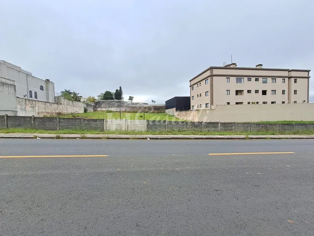 Imagem 11: Terreno à venda, no Bairro Jardim Carvalho, PONTA GROSSA - PR