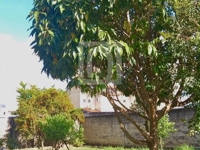 Imagem 11: Terreno Comercial à Venda no Jardim Santa Rosália em Sorocaba