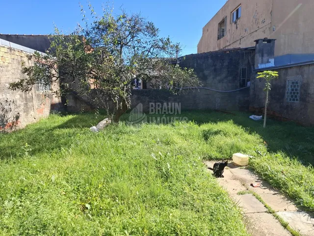 Imagem 7: Casa mista 2 dormitórios com terreno medindo 10 x 30 em cachoeirinha na parada 55