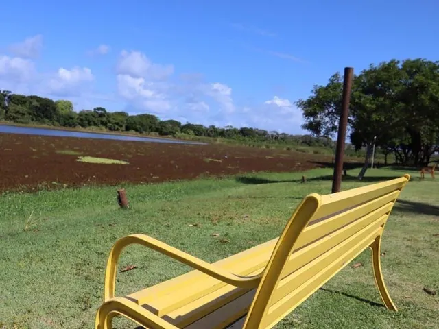 Imagem 7: APARTAMENTO RESIDENCIAL em CAMAÇARI - BA, GUARAJUBA (MONTE GORDO