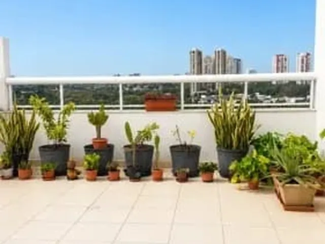 Imagem 10: Linda Cobertura Alphaville salvador com 4 quartos duplex, sala ampla piscina e com