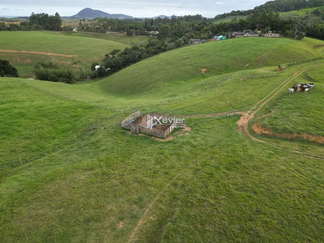 Imagem: Terreno Rural à Venda em Iconha - 2,8 Alqueires