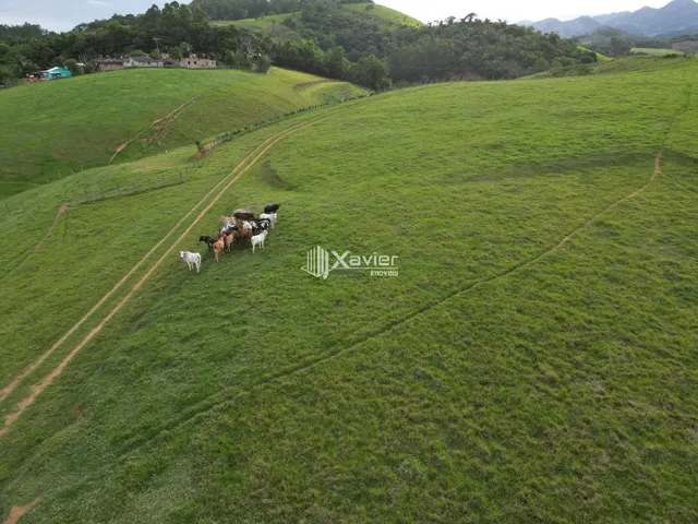 Imagem 6: Terreno Rural à Venda em Iconha - 2,8 Alqueires com Vista Panorâmica e Acesso à BR-101