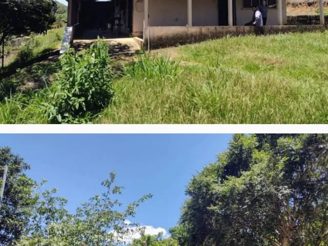 Imagem 9: Chácara residencial para venda com 6.000,00m² no Bairro do Tanque - Ouro Fino - MG