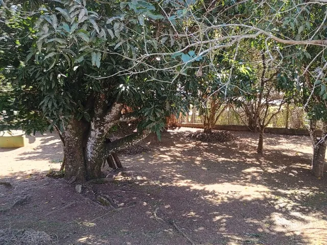 Imagem 7: Chácara residencial para venda com 6.000,00m² no Bairro do Tanque - Ouro Fino - MG