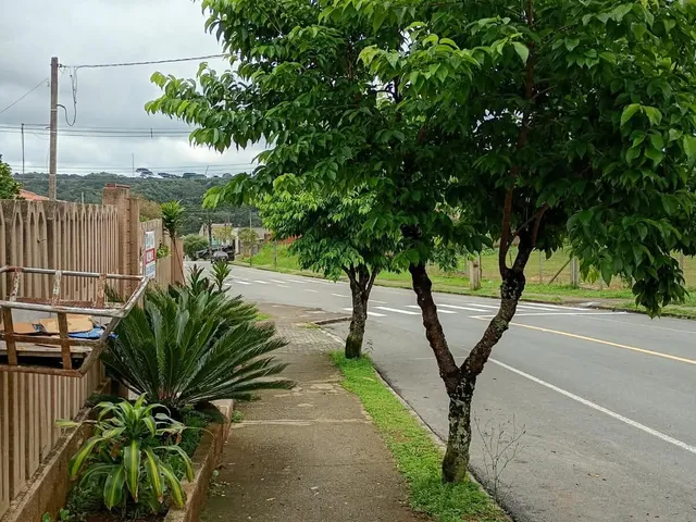 Imagem 13: Casa em Jardim das Acácias, Campo Largo/PR