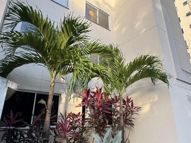 Imagem 5: Apartamento Residencial em Salvador - Ba, Cassange
