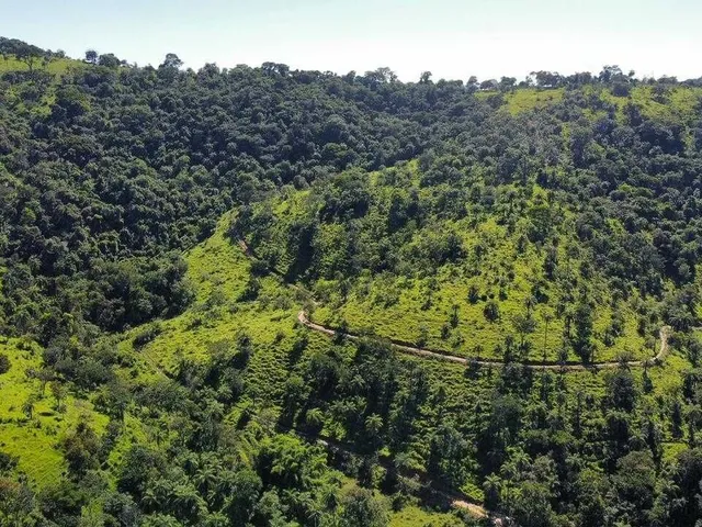 Imagem 2: Terreno à Venda em Mateus Leme MG