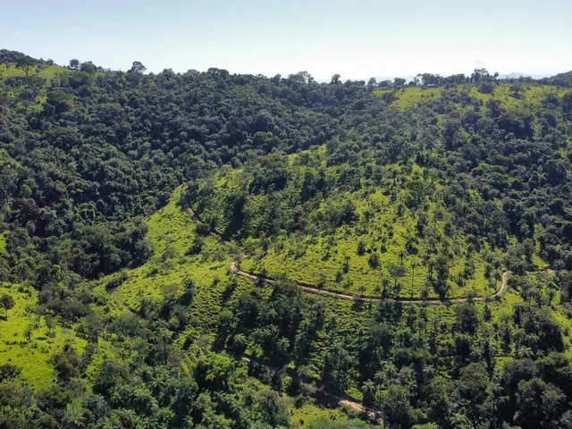 Imagem 9: Terreno à Venda em Mateus Leme MG
