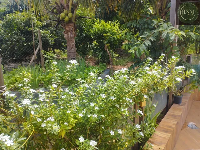 Imagem 13: Vendo Chácara no Canto do Siriema 2 - Jaboticatubas - R$ 510.000,00