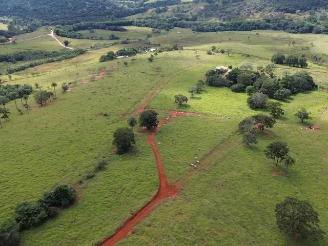 Imagem 4: Chácara de 10 Mil M2 Á Venda em Mateus Leme - Mg