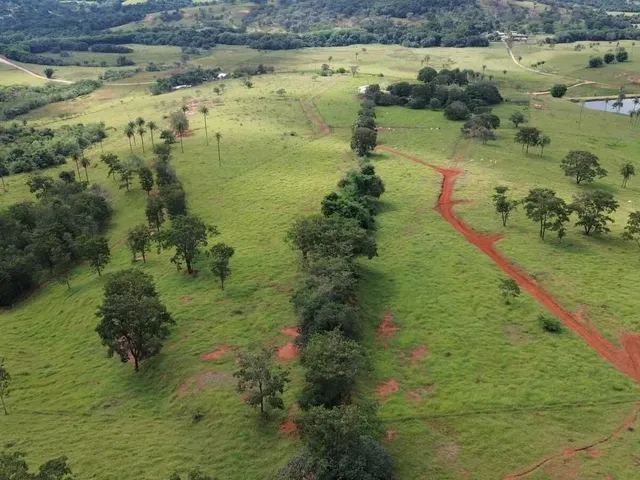 Imagem 8: Chácara de 10 Mil M2 Á Venda em Mateus Leme - Mg