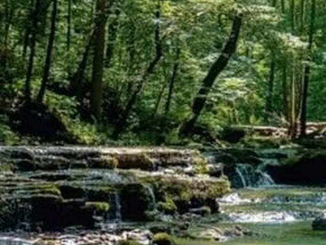 Imagem 13: Fazendinha a Venda no Encanto da Serra em Jaboticatubas