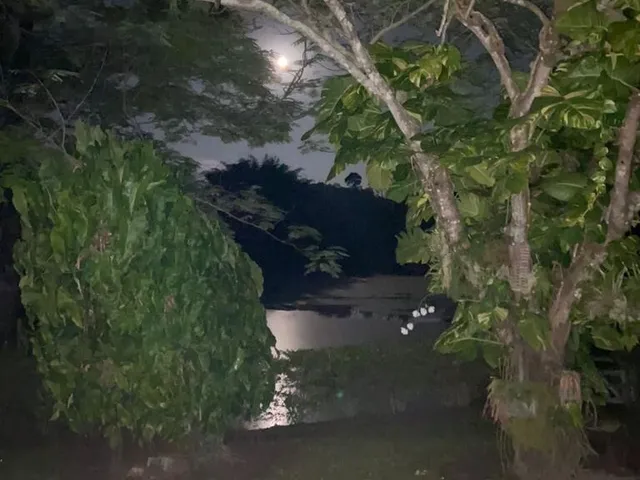 Imagem 8: ? Sítio à Venda em Esmeraldas - MG
