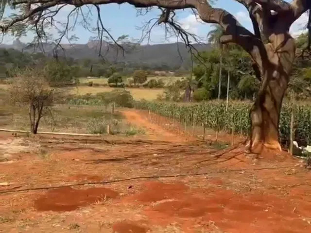 Imagem 11: Sítio em Serra Azul- Mateus Leme