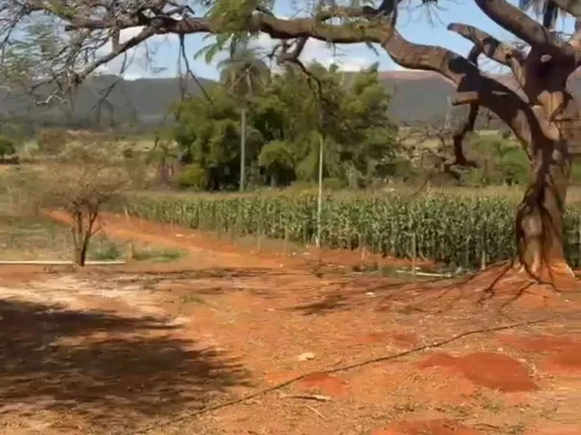 Imagem 15: Sítio em Serra Azul- Mateus Leme