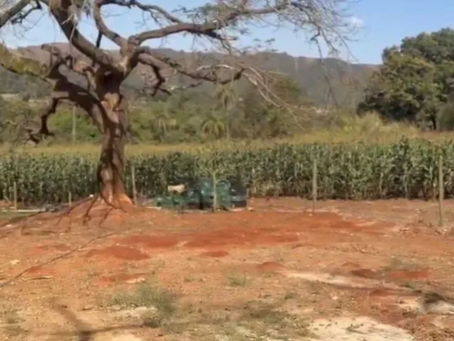 Imagem 10: Sítio em Serra Azul- Mateus Leme