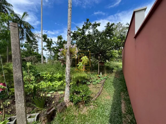 Imagem 3: Casa com edícula e amplo espaço externo no bairro das Capitais, em Timbó