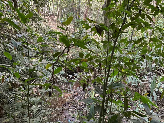 Imagem 7: Chácara a Venda em Mateus Leme Mg