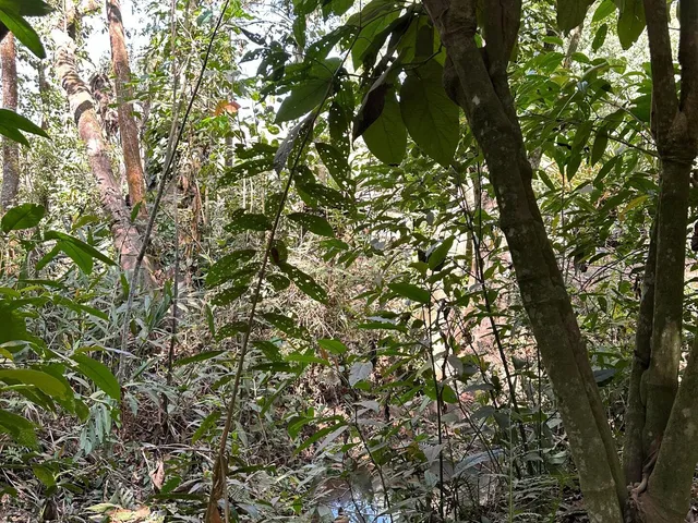 Imagem 4: Chácara a Venda em Mateus Leme Mg