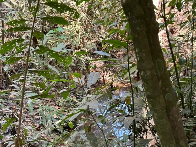 Imagem 5: Chácara a Venda em Mateus Leme Mg