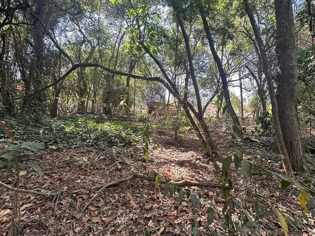 Imagem 12: Chácara a Venda em Mateus Leme Mg