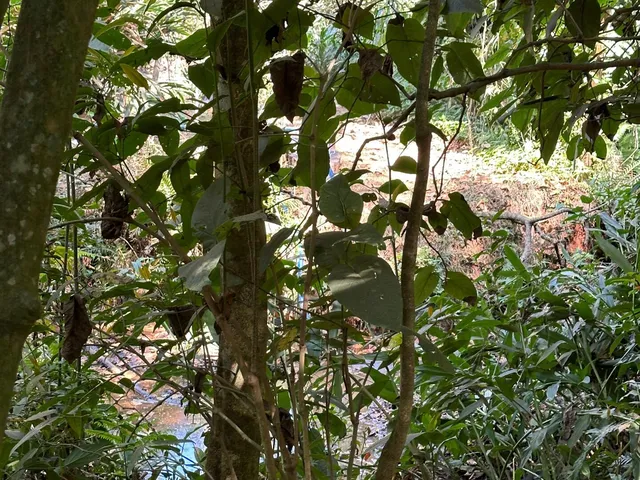 Imagem 15: Chácara a Venda em Mateus Leme Mg