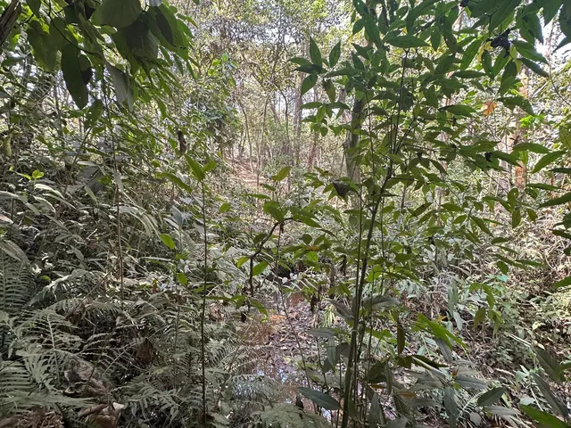 Imagem 11: Chácara a Venda em Mateus Leme Mg