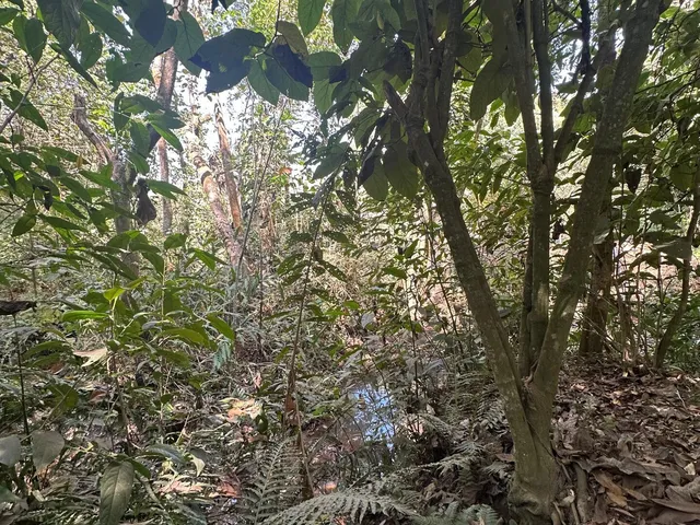 Imagem 6: Chácara a Venda em Mateus Leme Mg