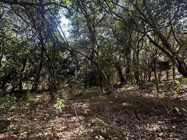 Imagem 14: Chácara a Venda em Mateus Leme Mg