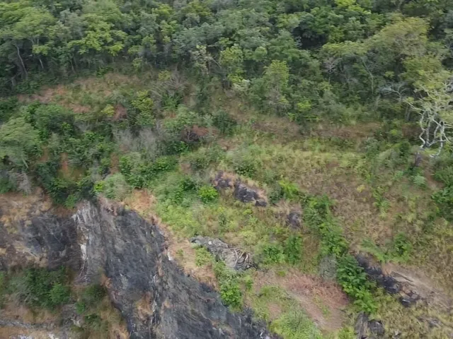Imagem 2: Fazenda de 186 Hectares em Curvelo MG