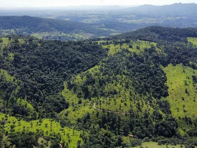 Imagem: Fazenda à Venda no Serra Azul em Mateus